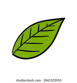 Hand, die grüne Blattvektor zeichnet.