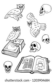 Hand drawing Halloween elements. Owls, old books and skulls