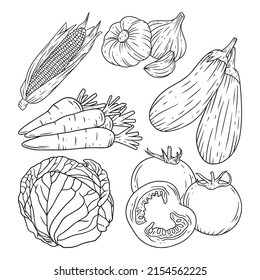 Hand Drawing healthy food premium vector