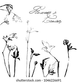 Hand drawing herbal grass. Nifty footstalk silhouette. Vintage styling gentle element for natural cosmetic design visit card or wedding invitation. 
Stylish flower, fancy blossom. Black line botanica