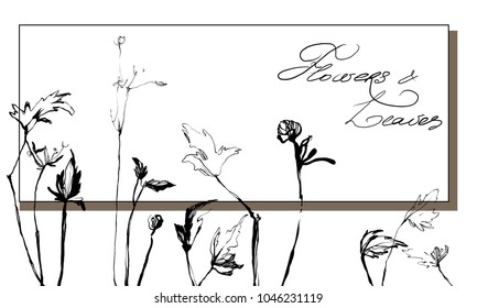 Hand drawing herbal grass. Nifty footstalk silhouette. Vintage styling gentle element for natural cosmetic design visit card or wedding invitation. 
Stylish flower, fancy blossom. Black line botanica
