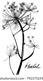 Hand drawing herbal grass. Nifty footstalk silhouette. Vintage styling gentle element for natural cosmetic design. Gental hand drawn botanical stalk. Vintage nature element for visit  or wedding card