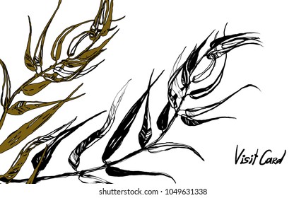 Hand drawing herbal silhouette. Vintage styling gentle leaves element for natural cosmetic design. Gentle hand drawn botanical stalk. Old styled nature element for visit  or wedding card.