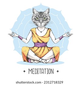 Hand drawing hipster animal cat meditating in lotus position on mandala background. Vector illustration