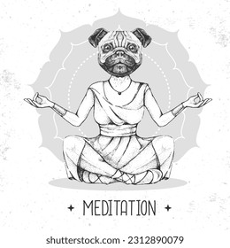 Hand drawing hipster animal dog meditating in lotus position on mandala background. Vector illustration