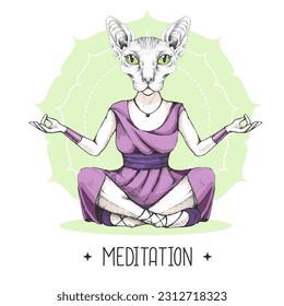 Hand drawing hipster animal sphynx cat meditating in lotus position on mandala background. Vector illustration