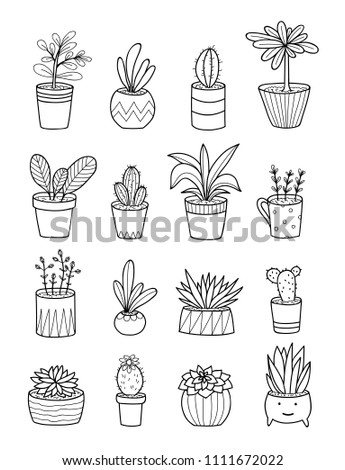 Hand Drawing Home Plants Pots Coloring Stock Vector (Royalty Free