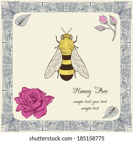 hand drawing honey bee rose buds and leaves with decorative frame vintage engraving style
