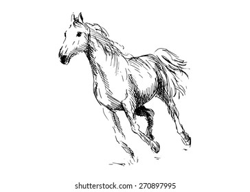 Hand drawing horse