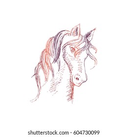 Hand drawing horse head