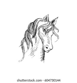 Hand drawing horse head