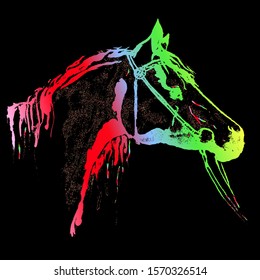 Hand drawing horse head in bridle like engraving silhouette. Rainbow multicolor on black background vector. Equestrian sport grunge texture print style.