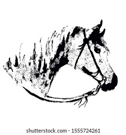 Hand drawing horse head like engraving. Horse snout silhouette with cowboy western bridle on white. Black on white background. Equestrian sport antique vintage grunge texture print vector style.