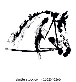 Hand drawing horse head like engraving. Silhouette with equestrian sport bridle on white. Black on white background. Equestrian sport antique vintage grunge texture print vector style.