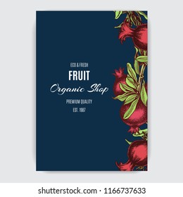 Hand drawing illustratiion pomegranate colorful. Vector fruit card.