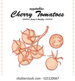 Hand drawing illustration of a Cherry tomato. Vector illustration for your design