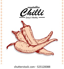 Hand drawing illustration of a chili. Vector illustration for your design