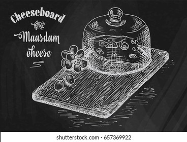 hand drawing illustration of chopping board with grapes and cheese. Cheese board on the chalkboard background