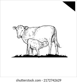 Hand drawing Illustration Cow nursing it's calf 