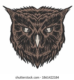 Hand Drawing illustration of owl head vector. Owl head illustration vector.