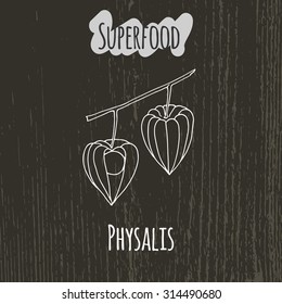 Hand drawing illustration of physalis. Fresh fruit sketch background. Vector illustration for your design.