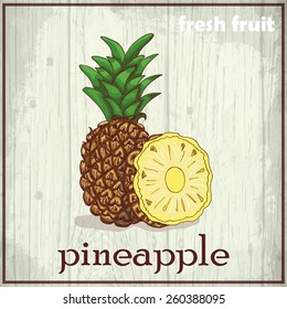 Hand drawing illustration of pineapple. Fresh fruit sketch background. Vector illustration for your design