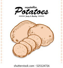 Hand drawing illustration of a potato. Vector illustration for your design