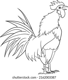 Hand Drawing or Illustration of Rooster with Vector Format