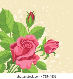hand drawing illustration of a roses background