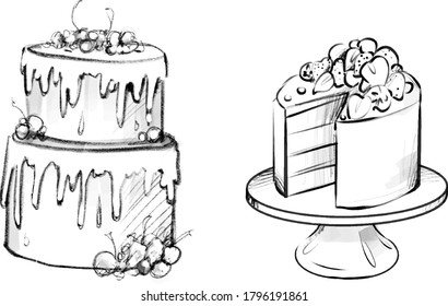 cake with candles contour vector illustration Stock Vector | Adobe Stock