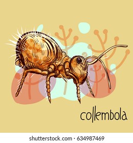 Hand Drawing Illustration With Springtail (collembola) Insect And Floral Background