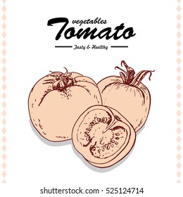 Hand drawing illustration of a tomato. Vector illustration for your design