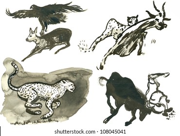 hand drawing illustrations converted into vector : (water colors) animals