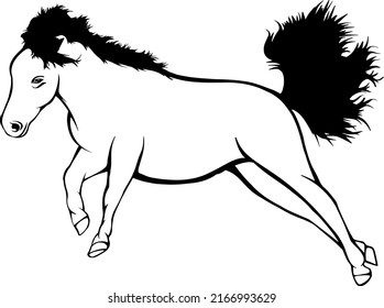 Hand drawing illustrations and faster running little pony 