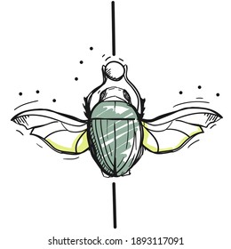 Hand drawing of an insect with wings in the original sketch style.