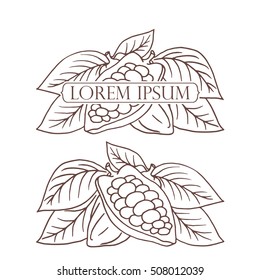 Hand drawing isolated cocoa beans. Vector illustration