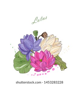 Hand drawing isolated  floral illustration with Delicate lotus flower, leaves, branches and flowers. exotic waterlily. Elements for greeting, wedding card.Sketch, Linart,watercolor imitation