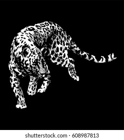 Hand drawing a jaguar on a black background. Vector illustration