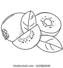 Hand drawing kiwi; doodle fruits for stickers, posters, web design. Black and white vector illustration.