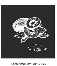 hand drawing kiwifruit vector illustration on black background; Chinese gooseberry hand draw; kiwi fruit