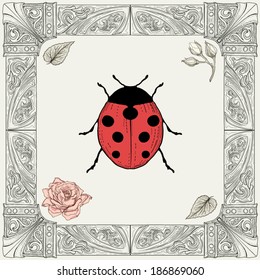 hand drawing ladybug rose buds and leaves with decorative frame vintage engraving style