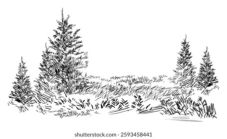 Hand drawing landscape with evergreen trees. Monochrome sketch of rural scene. Vector illustration isolated on white background. Design element. For prints, design, cards and decorations.