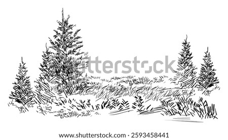 Hand drawing landscape with evergreen trees. Monochrome sketch of rural scene. Vector illustration isolated on white background. Design element. For prints, design, cards and decorations.