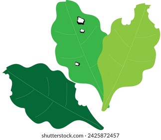 hand drawing of leaves or vegetables with holes caused by caterpillar pests