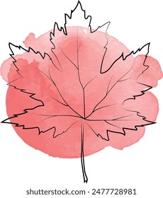 Hojas de dibujo a mano y fondo blanco 