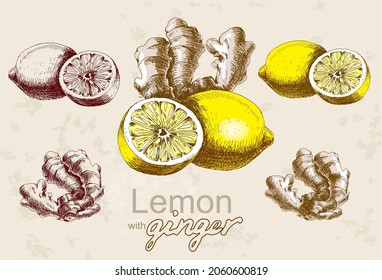 Hand drawing of a lemon and ginger in graphics and in color