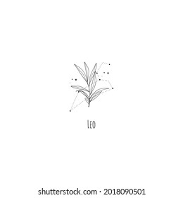 Hand drawing leo constellation symbol with floral branch and stars. Modern minimalist mystical astrology aesthetic illustration with zodiac signs