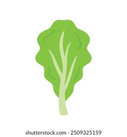 Dibujo a mano Vector de hojas de lechuga, vegetal fresco con hojas verdes doodle dibujos animados para alimentos Ingrediente aislado sobre fondo transparente