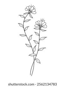 Hand drawing line art blooming flowers. Design for invitations, tattoos and backgrounds, botanical vector illustrations