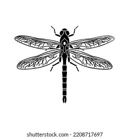 Hand drawing line art grasshopper vector illustration graphic isolated on white background